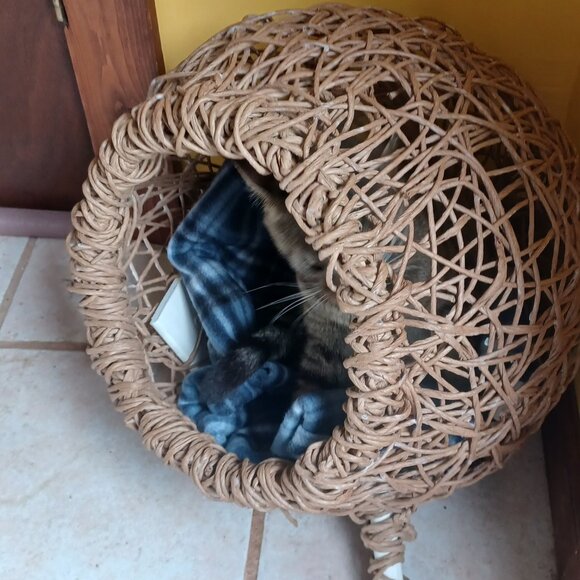 Handmade FiberRush Cat/Dog Bed - Picture 16 of 16